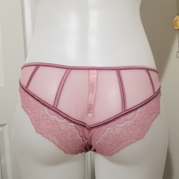 Victoria's Secret Other - VS Dream Angels Rose Lace & Mesh Cheekini NWT